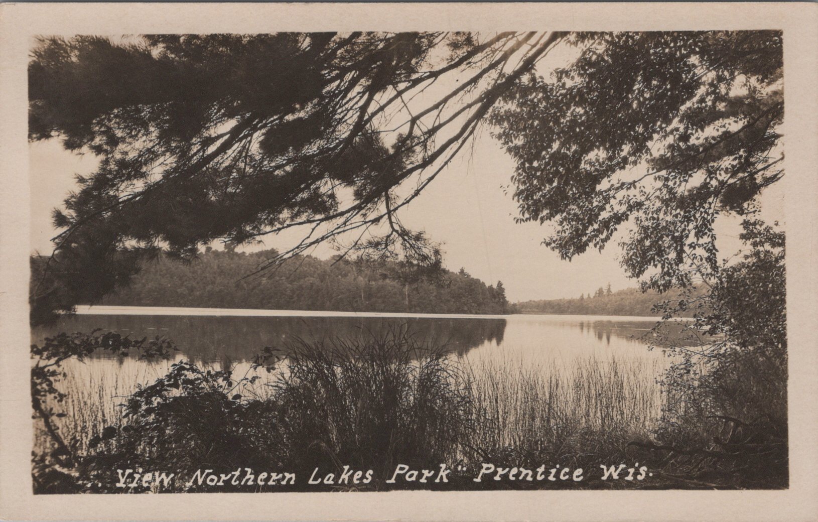 Postcard Image