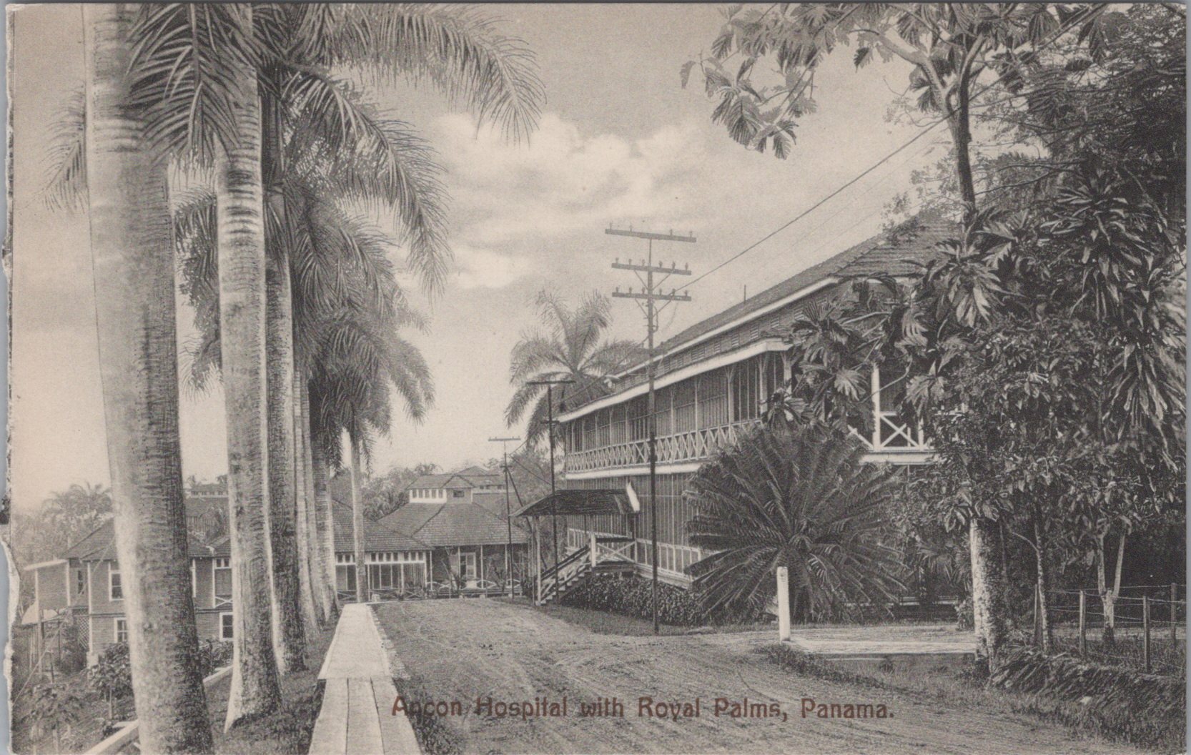 Postcard Image