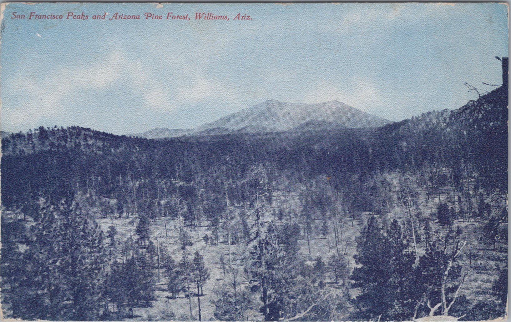 Postcard Image